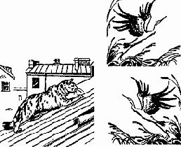 �������� ����������