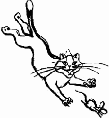 ����� ������� ��������