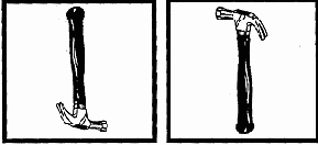 ���� � ��� ������