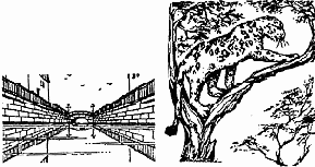 �������� ���� 45 ��������