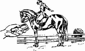 ��������� ����������