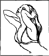 ������������� �������� (��������, ������)