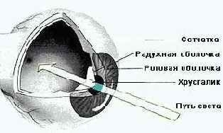 ���� � ���������������� ������