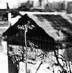 ��� �������� ����������