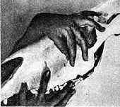 �������������