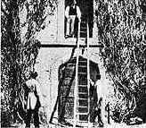 �������������