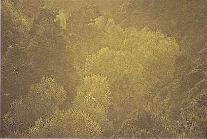 ����� ����: ���������� ���������� �����