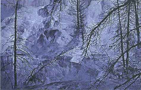 �� ���� ���������� ��������� ����� 