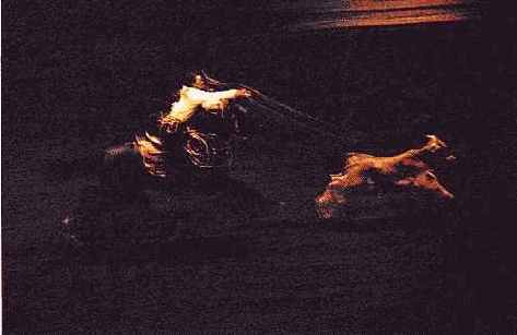 � ���� ������, ������� ��������� 