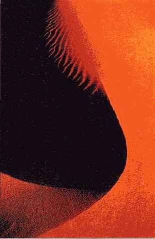 ����� ��������� ����� ������, ������ 