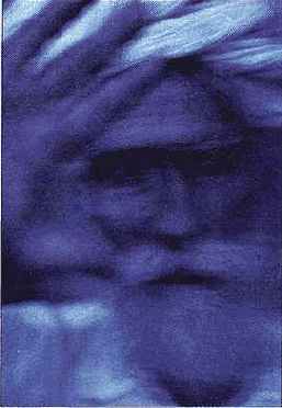 ���� �������