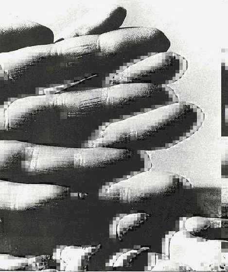 ���� ������: ����� � ����