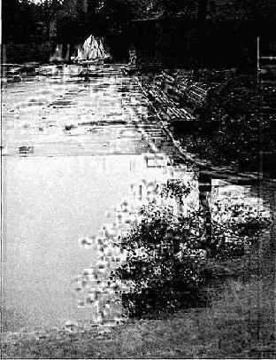 � ���������� ������� �����������. ��������� 