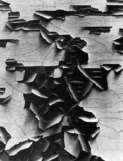 ������� �������� ����������� ����������������, �������������� 