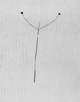 ������������� ����������� ��������, ����������� ��� 