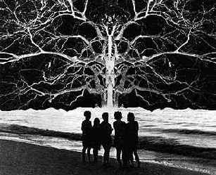 ���� ��������������� ������������ ��������� ������� 