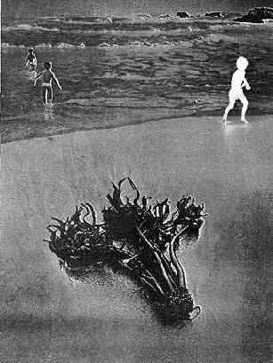 ������� ��������� ���������� �� �������� 