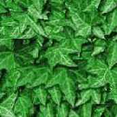 ��������� ������