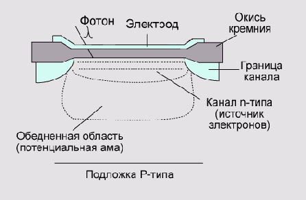 ������� ����������