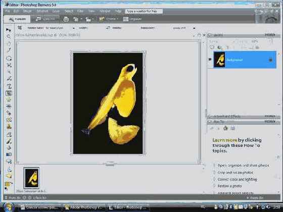 ������������ ��� ��������� �����������: ������ 