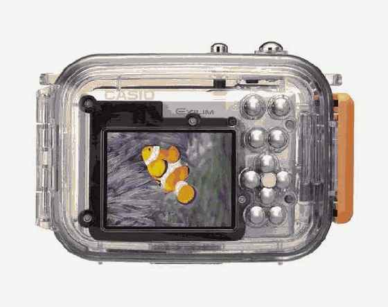 ����������� ����������� ����������: ������ ��� 