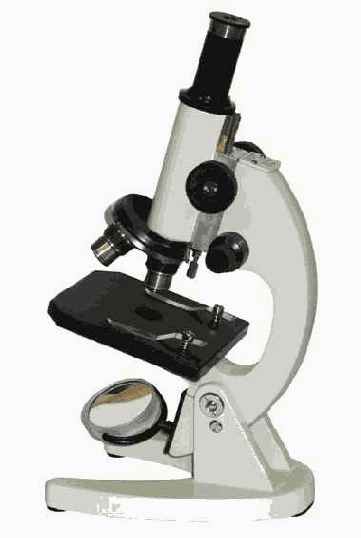 ����������� ����������� ����������: ������ ��� 