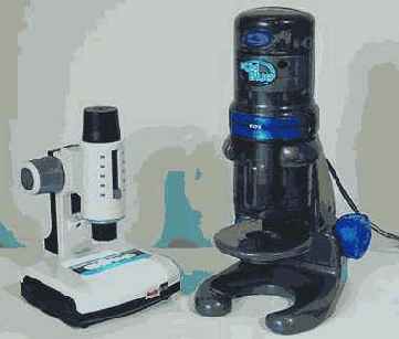 ����������� ����������� ����������: ������ ��� 