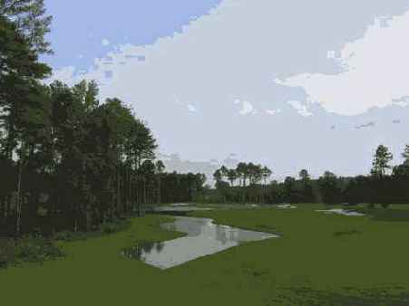 � ���. ����������� �������� ���� ����������