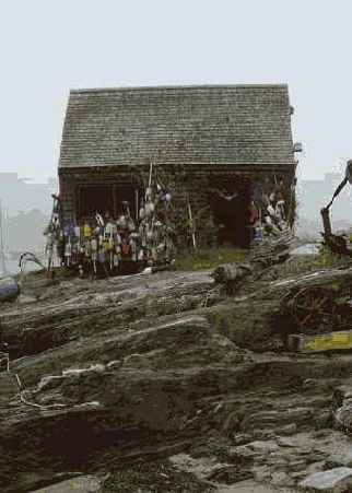 � ���. ���������������� � �������������� 