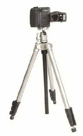 � ���. �������� �� ��������� �������