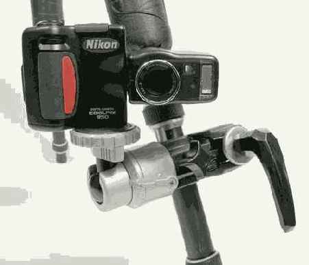 � ���. �������� �� ��������� �������