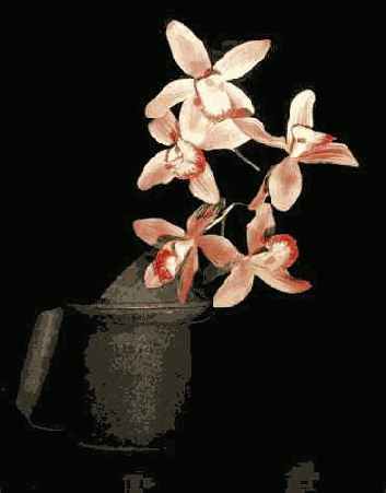 ����������� �� �� ����� �������� 