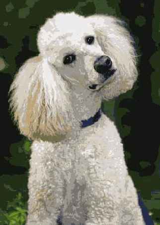 � ���. ����� ����� ������