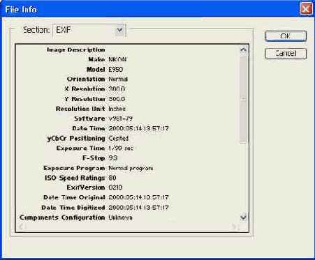 � ���. ������� ���� � �������