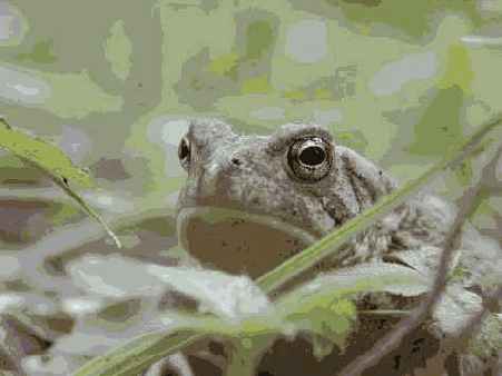 � ���. ���������� � �������� ������