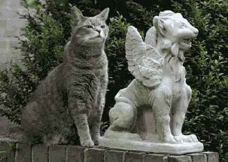 � ���. ������ �� ������ �����