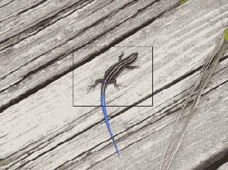 � ���. �������� ���������� �����������