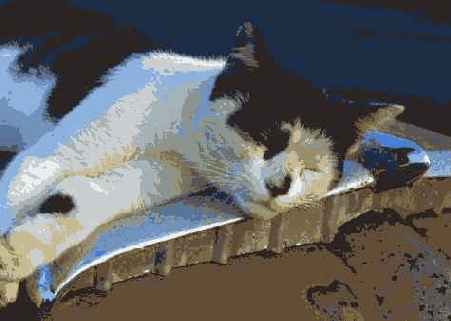 � ���. ����� ��������� ����������