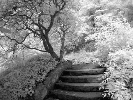 � ���. ����� ���������� ����� ��� ������