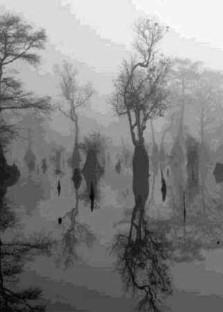 � �����������. ��������� ���� ��������� ������ ������������