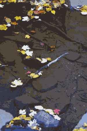 � ���. ������������� ������������ �������