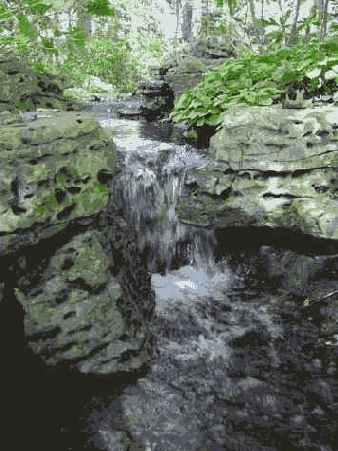 � ���. ������������� ������������ �������