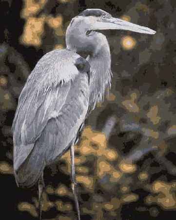 � ���. ���������� ����� � ������� ���������