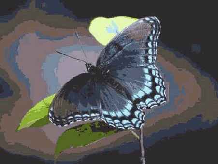 � ���. �������� ����������� � ��������� ���������� ������������ (��� �������������)