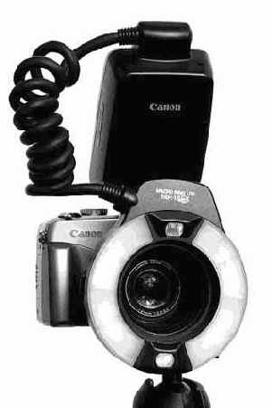 � ���. �������� ����������� � ��������� ������