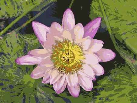 � ���. �������� ����������� � ��������� ������