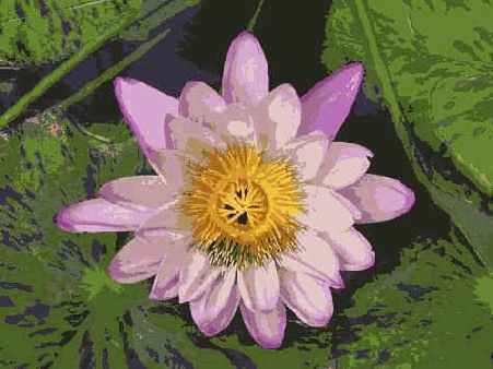 � ���. �������� ����������� � ��������� ������