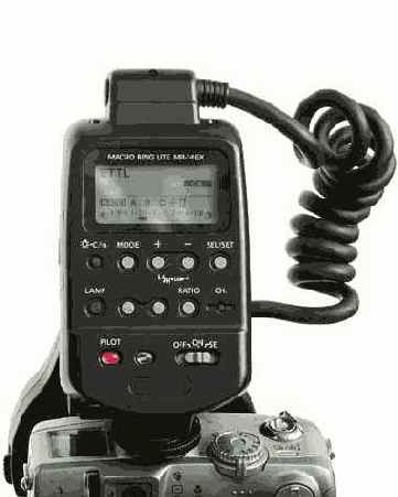 ��� ����� ��������� ������� ��� �����������