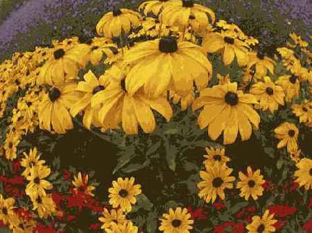 ����� 18. ����� ������� ����������