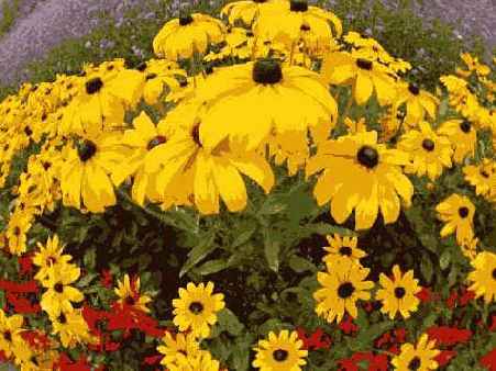 ����� 18. ����� ������� ����������